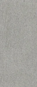 Biotech Serizzo Stone 60x120 Mat.Gat.1