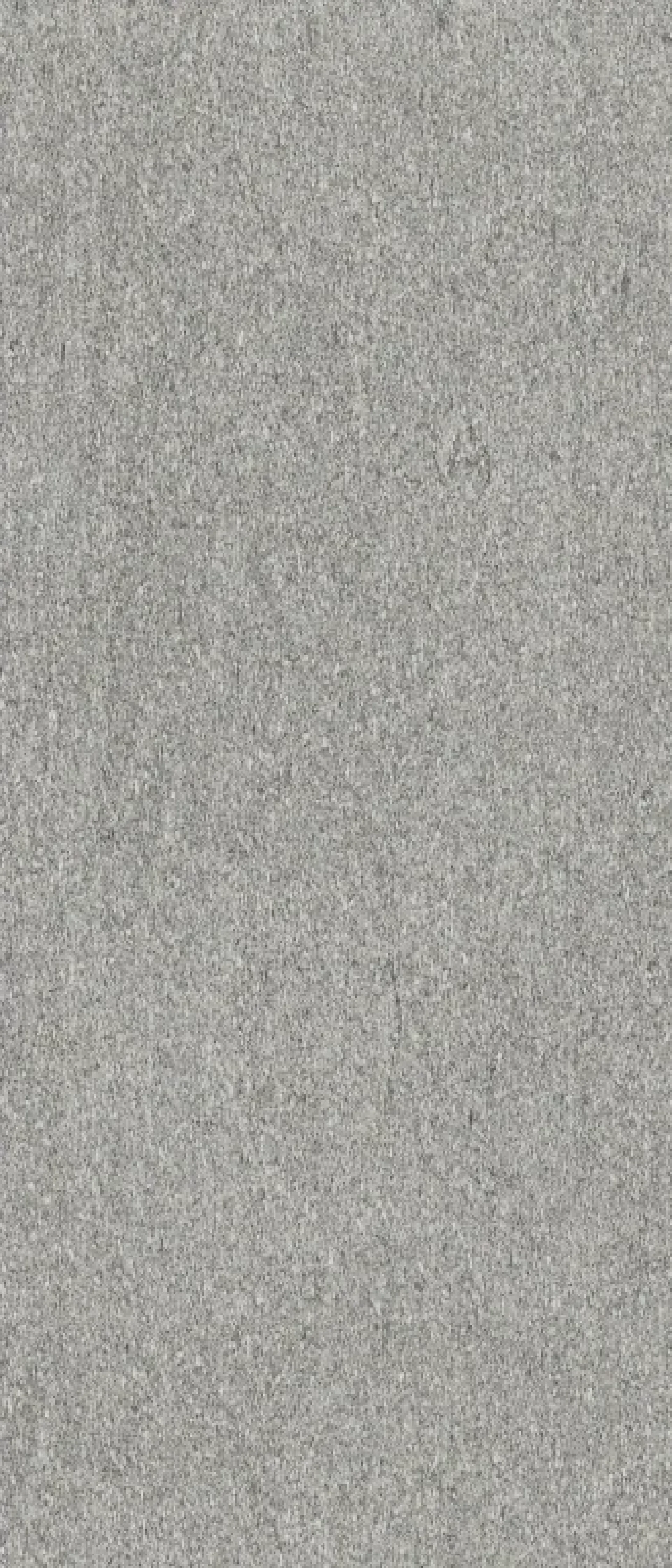 Biotech Serizzo Stone 60x120 Mat.Gat.1