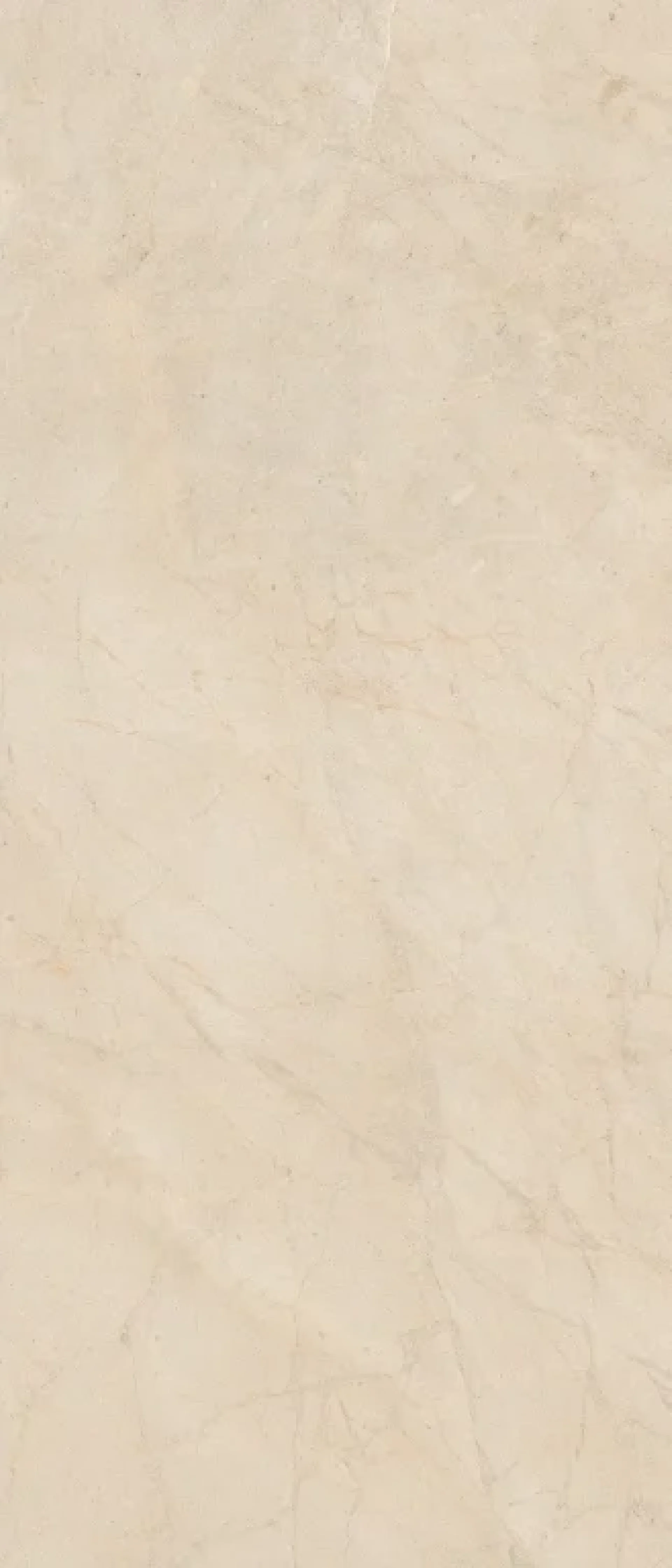 Biotech Crema Stone 120x120 Mat.Gat.1
