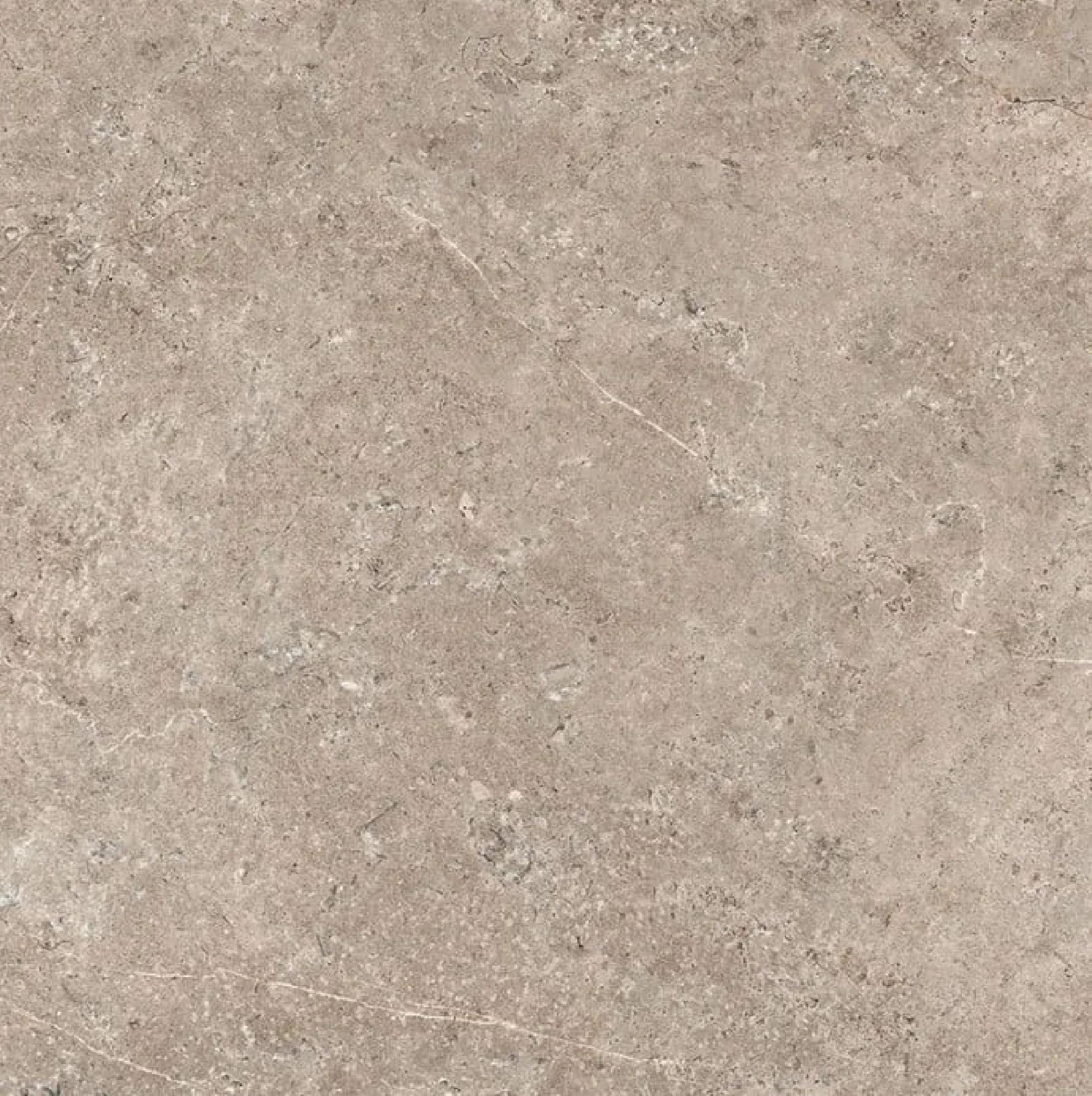 Landstone Taupe 100x100 Nat.Ret.Gat.1