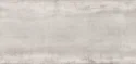 Wi-Sh Silver 60x120 Rett.Gat.1
