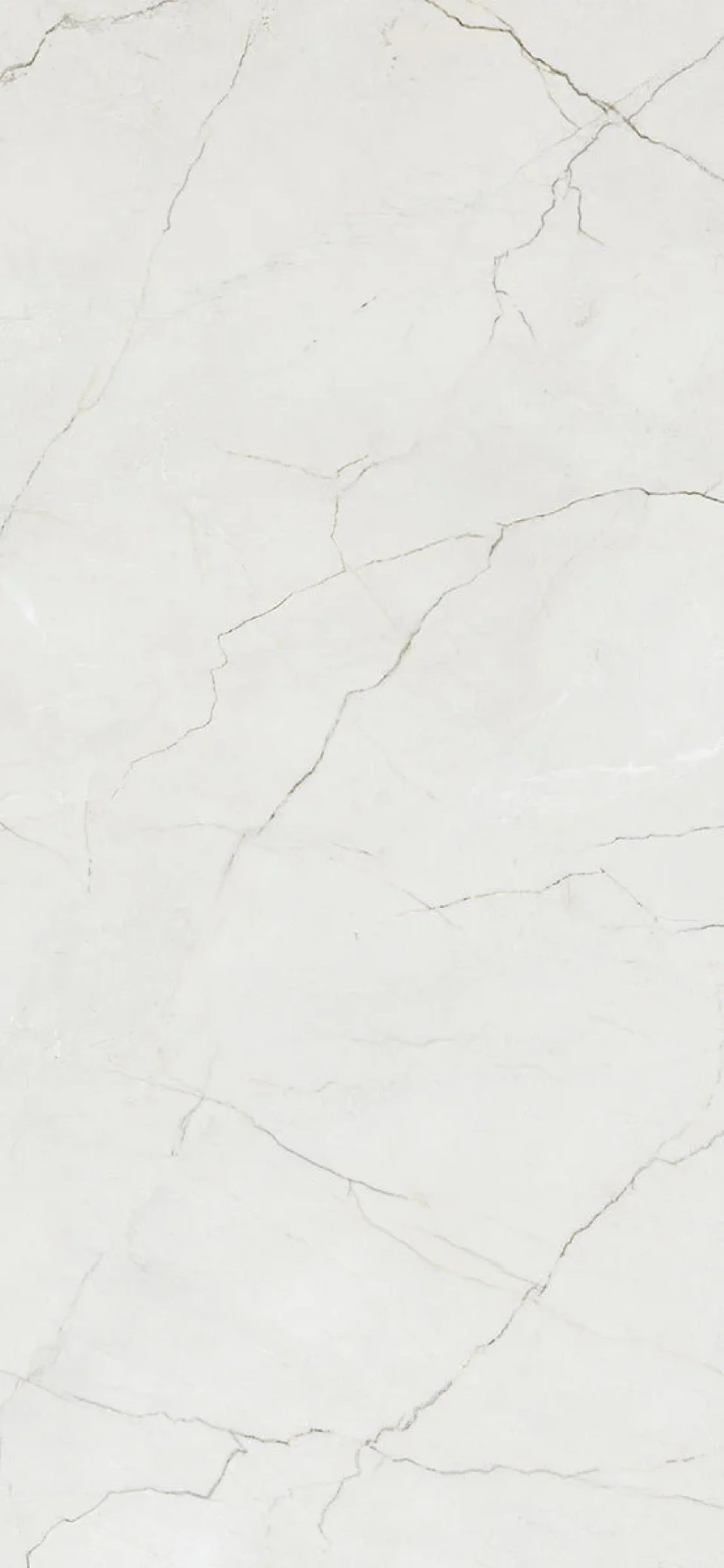 Sunshine Segestia Ivory 60x120 Shine Rett.Gat.1