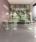 Insideart Ash 60x120 Nat.Ret.Gat.1