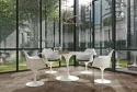 Reves de Rex Reve Choco 60x120 Glossy Gat.1