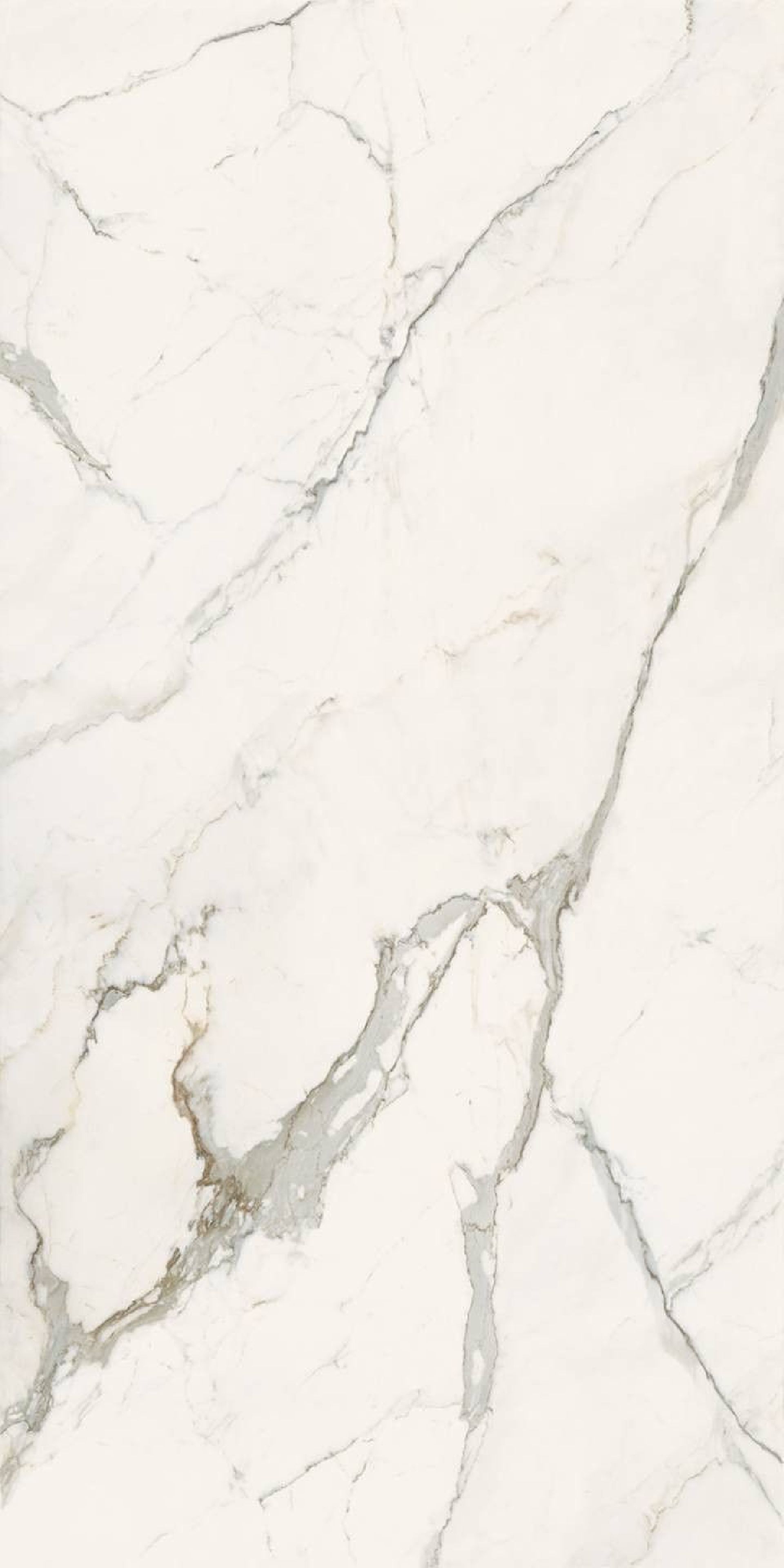 Infinito 2.0 Callacatta Light 120x120 Nat.Gloss Gat.1