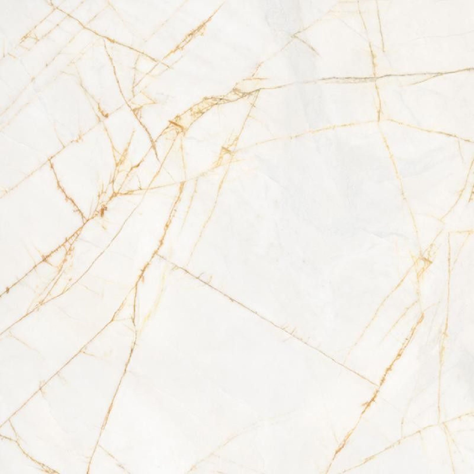 Supreme Hedonism Golden Spider 120x120 Nat.Ret.Gat.1