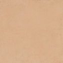 Pietra Essenza Rosso Siena 120x120 Silk Gat.1
