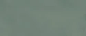 Pigmento Verde Salvia 60x120 Silk.Ret.Gat.1