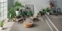 Orgini Crux Grey 60x120 Naturale Gat.1
