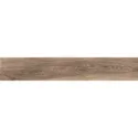 Zen Camel 20x120 Rett.Gat.1
